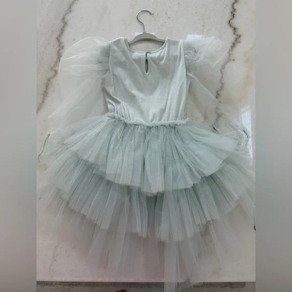 TTDM Tutu Du Monde Nix Tutu Dress size 2-3 - Picture 4 of 8